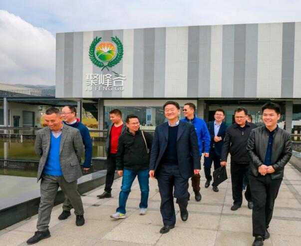 集团党委书记、董事长任丁率队调研聚峰谷